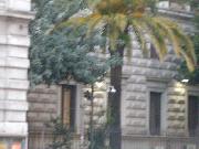  - angolo grazia e giustizia