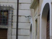  - palazzo salviati