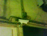  - Osrtega 1