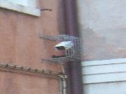  - Telecamera