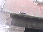  - Fantasma 2